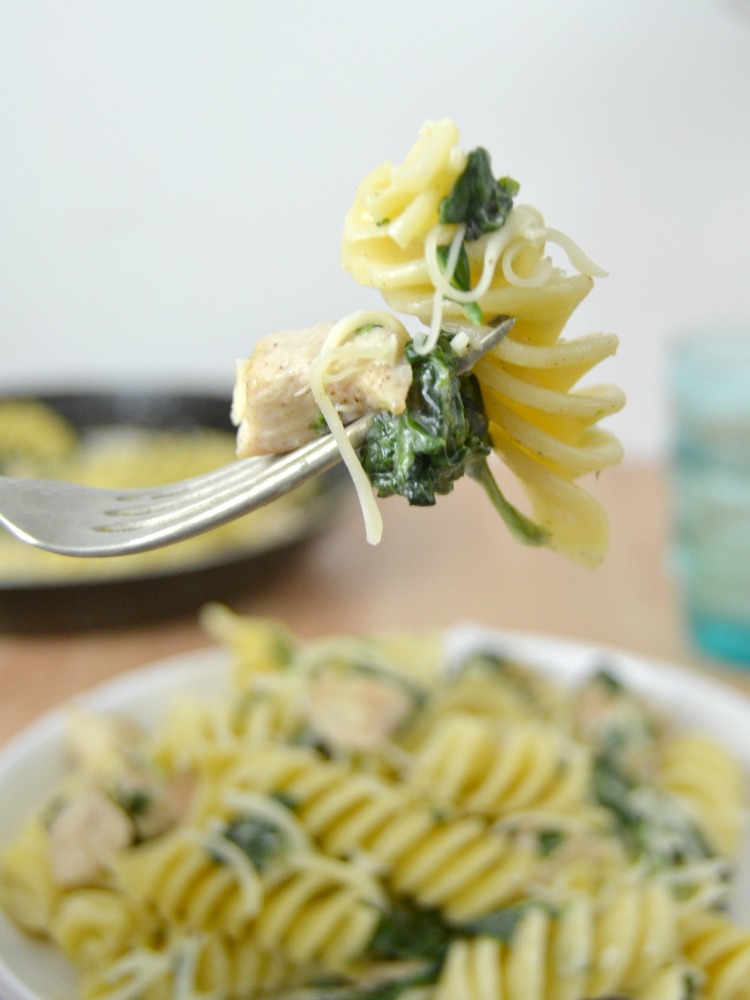 Fusilloni con pollo y espinacas receta pastas romero